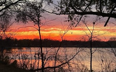 What Are YOU Celebrating this November?