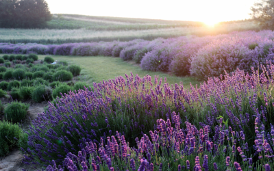 We Believe Your Financial Well-Being is Deeply Connected to Your Overall Well-Being