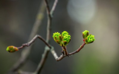 When I Quit My Job, I Wasn’t Ready. I Went Anyway.